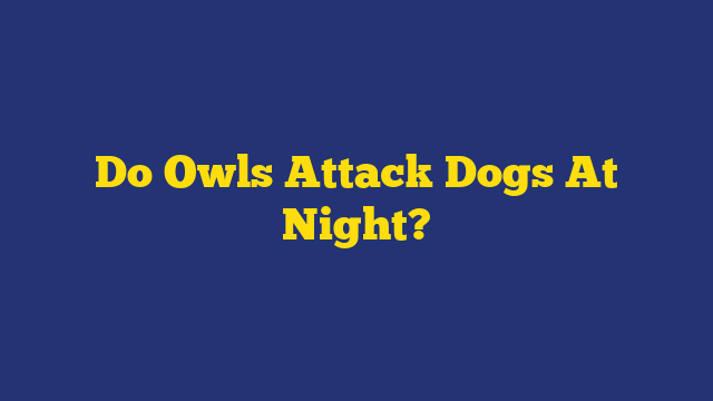 Do Owls Attack Dogs At Night?